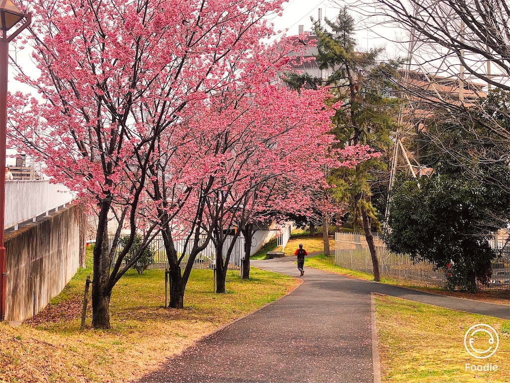 f:id:yokohamamura:20200315171211j:image f:id:yokohamamura:20200315171211j:image