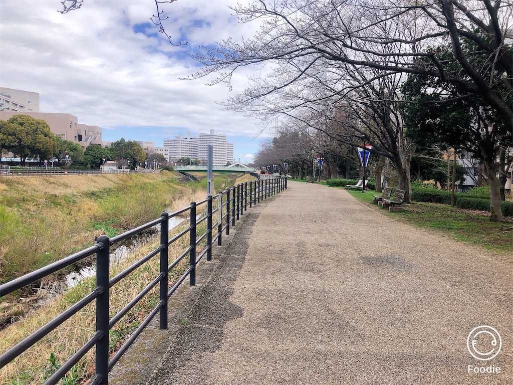 f:id:yokohamamura:20200315171214j:image f:id:yokohamamura:20200315171214j:image