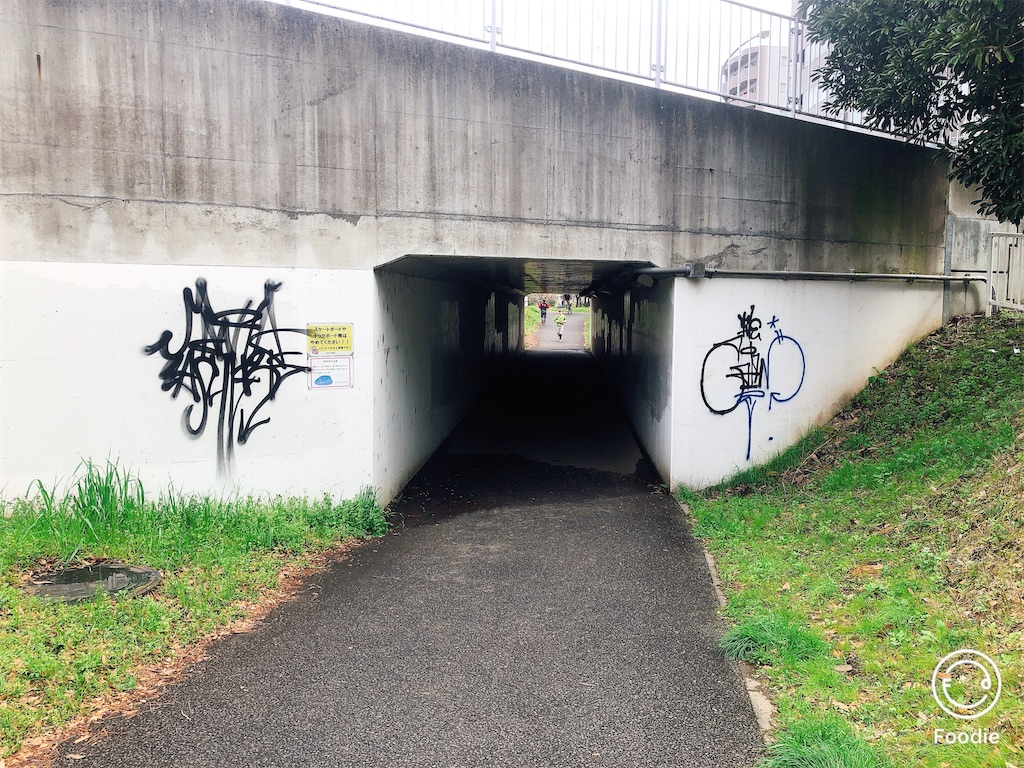 f:id:yokohamamura:20200315201156j:image