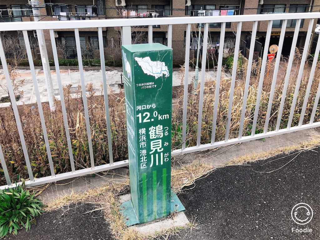 f:id:yokohamamura:20200315201210j:image f:id:yokohamamura:20200315201210j:image