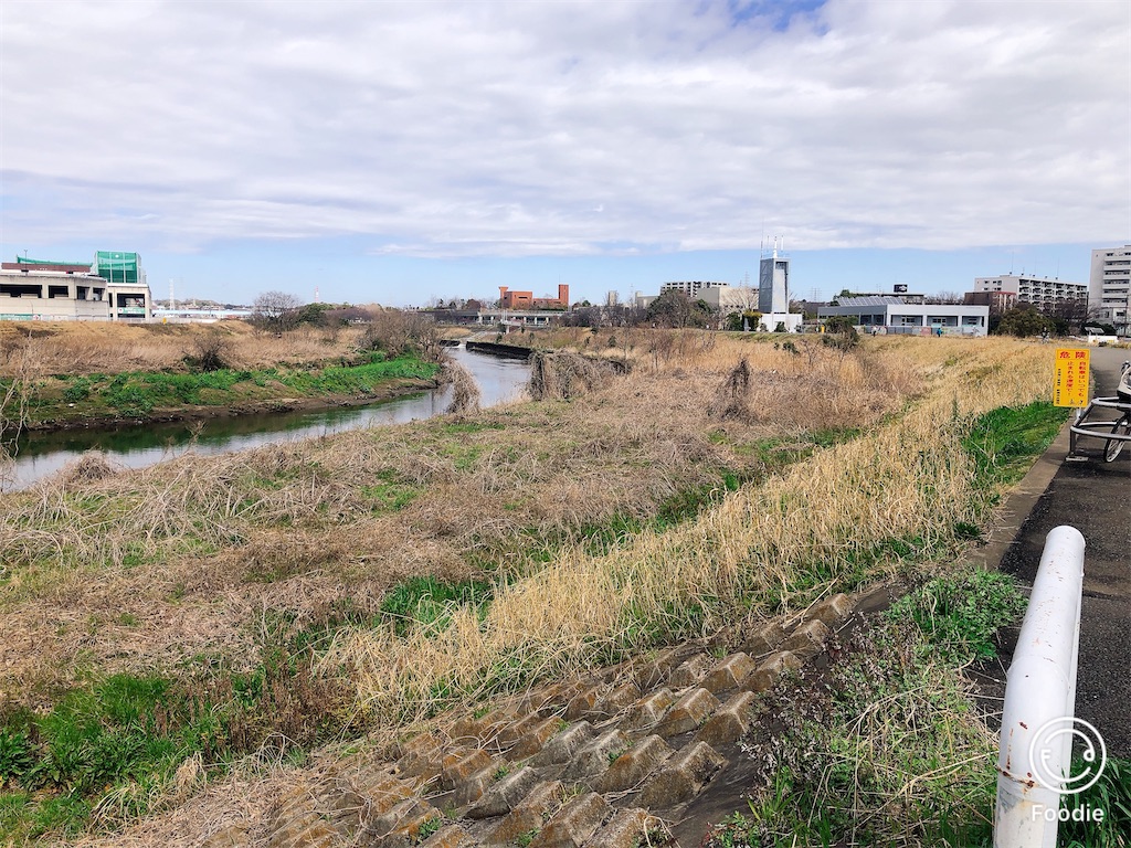 f:id:yokohamamura:20200315201214j:image f:id:yokohamamura:20200315201214j:image