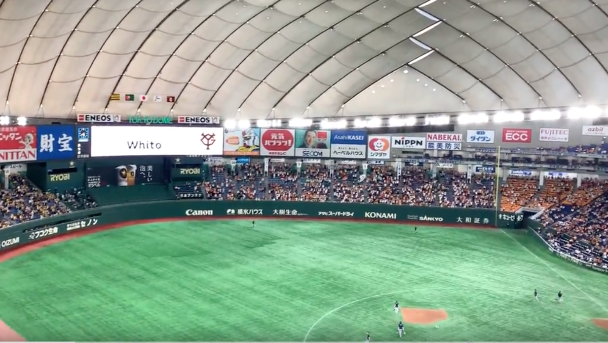 f:id:yokohamarandy:20190517004947p:plain