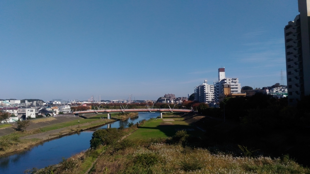 f:id:yokohamyu:20171119195453j:plain