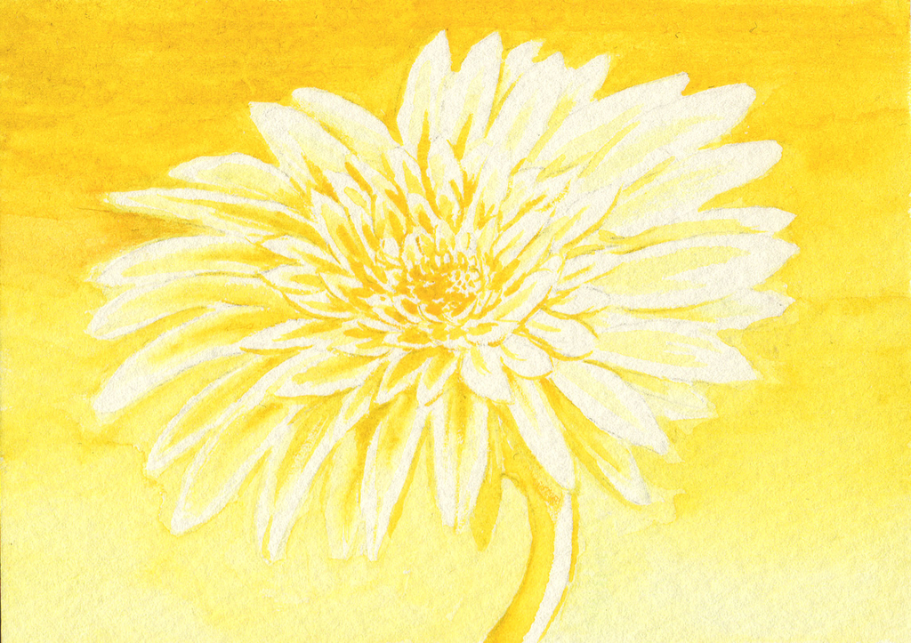 f:id:yokohori:20181016151333j:plain f:id:yokohori:20181016151333j:plain