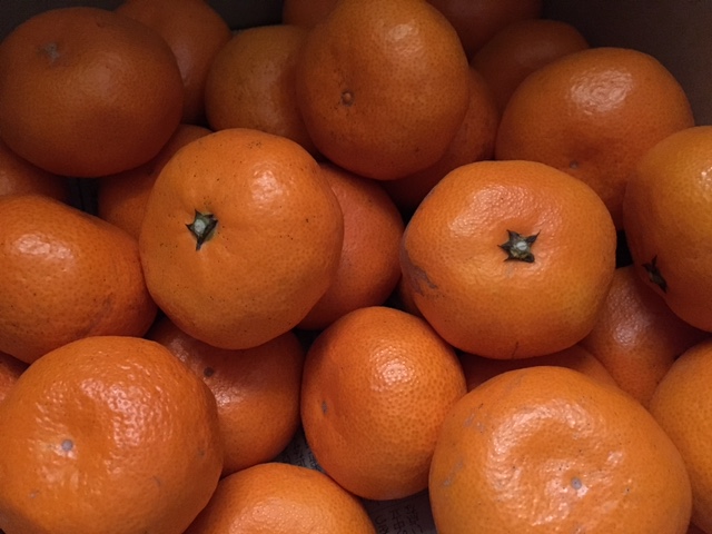 f:id:yokoimapleiades:20161225093844j:plain