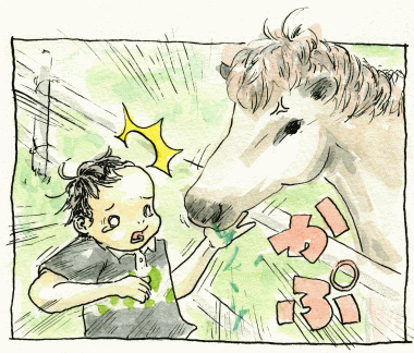 f:id:yokomichi:20100829224139g:image f:id:yokomichi:20100829224139g:image