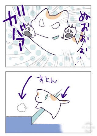 20191108191618
