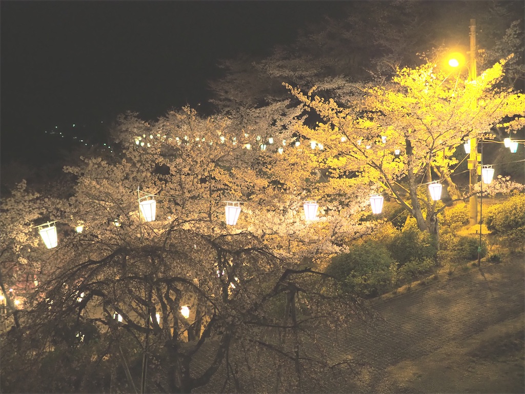 f:id:yokosuka1012:20220404193425j:image f:id:yokosuka1012:20220404193425j:image
