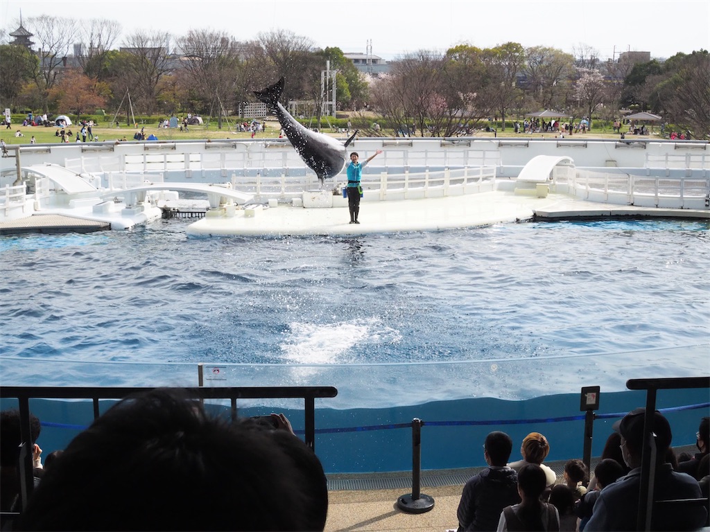f:id:yokosuka1012:20220404203721j:image f:id:yokosuka1012:20220404203721j:image