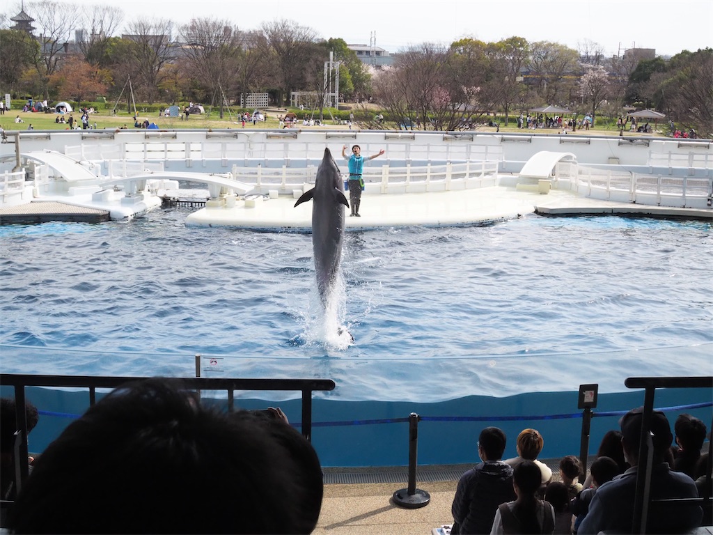 f:id:yokosuka1012:20220404203725j:image f:id:yokosuka1012:20220404203725j:image