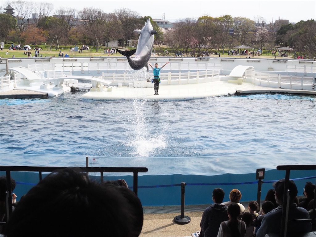 f:id:yokosuka1012:20220404203729j:image f:id:yokosuka1012:20220404203729j:image