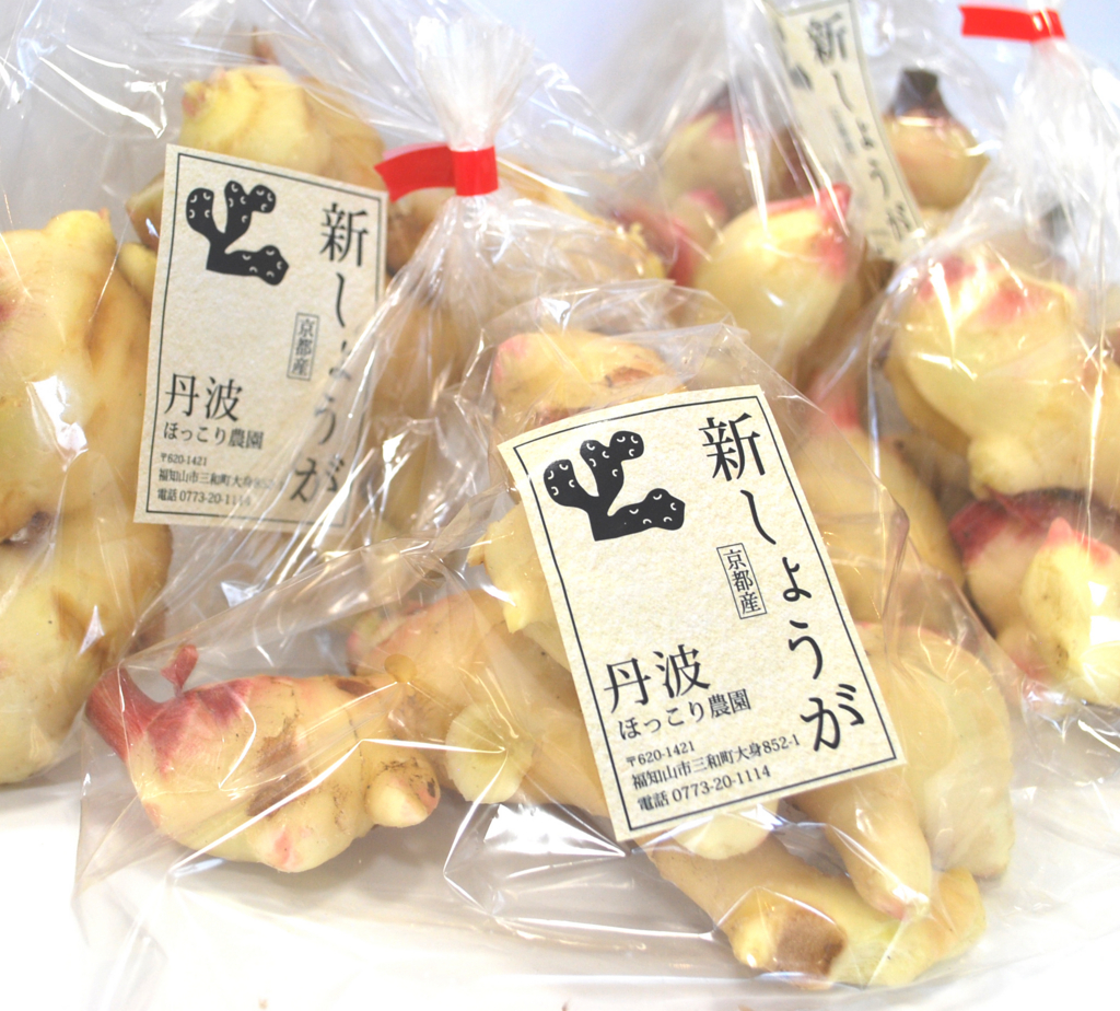 f:id:yokota-sekizai:20161103154747j:plain f:id:yokota-sekizai:20161103154747j:plain