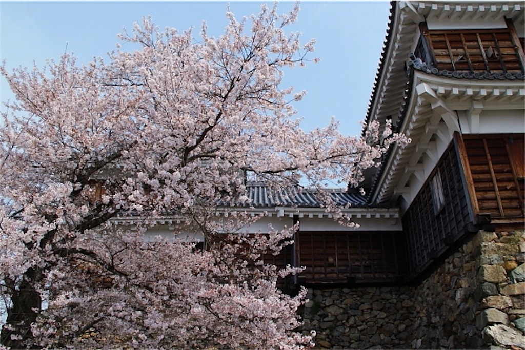 f:id:yokota-sekizai:20180402215412j:image f:id:yokota-sekizai:20180402215412j:image