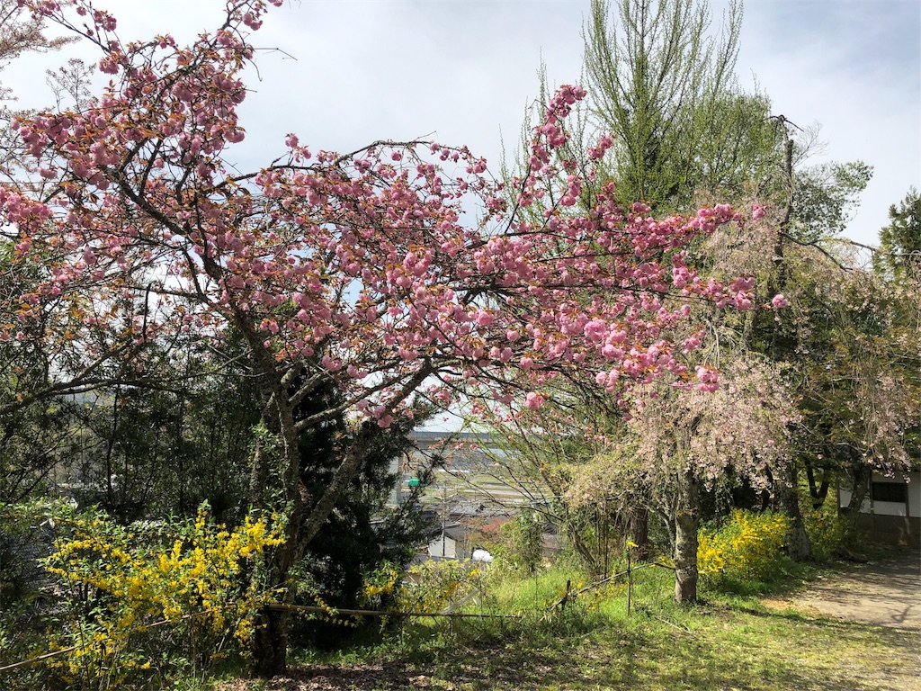 f:id:yokota-sekizai:20180412231730j:image f:id:yokota-sekizai:20180412231730j:image