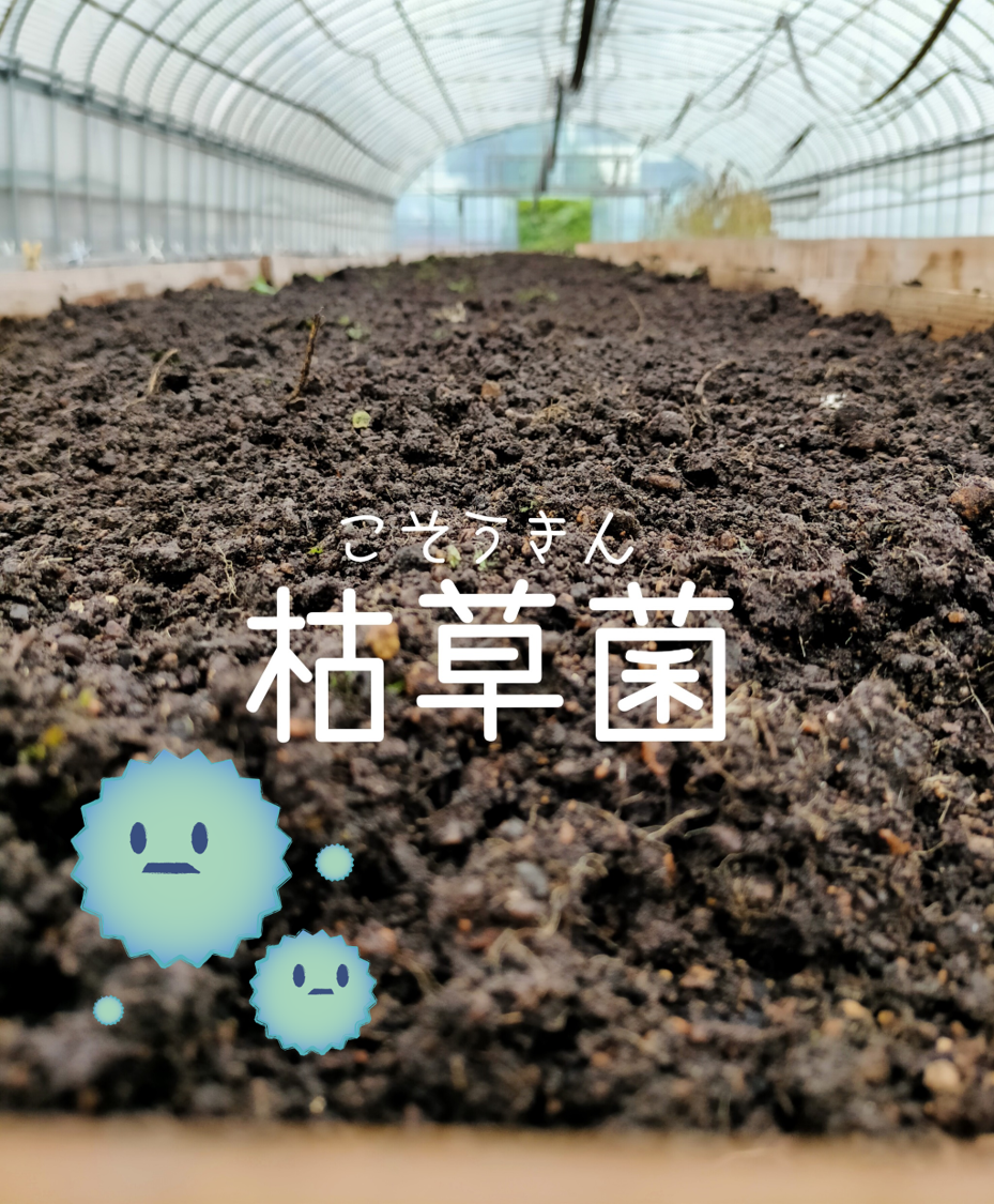 f:id:yokouta0516:20210920175930p:plain