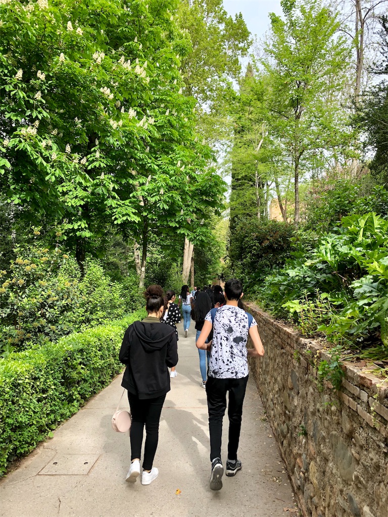 f:id:yokoyama-attax:20190418154748j:image f:id:yokoyama-attax:20190418154748j:image