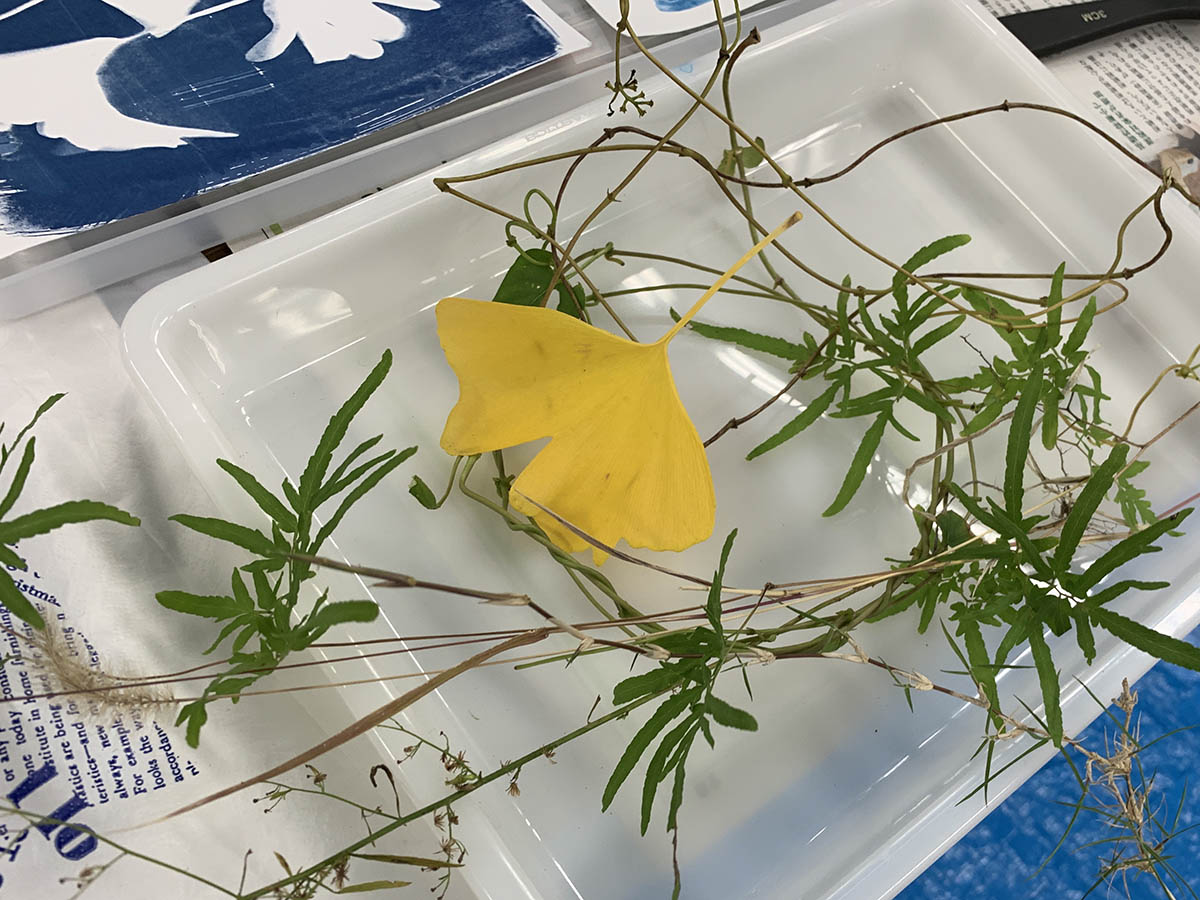 f:id:yokoyamazaki:20191214135253j:plain