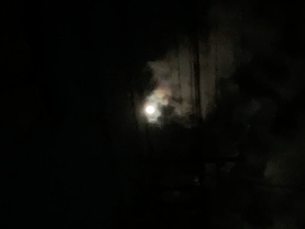f:id:yokoyamazaki:20210314024550p:plain