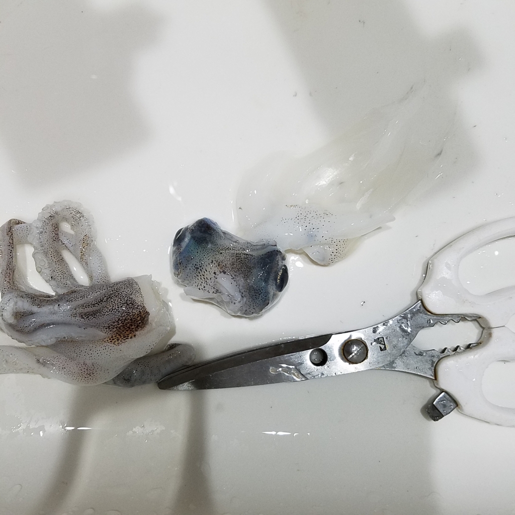 エギングで釣れたアオリイカの保存法 ミーハー主婦の釣りと食 エギングで釣れたアオリイカの保存法 ミーハー主婦の釣りと食