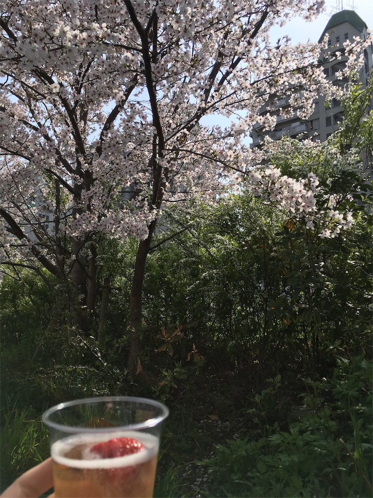 f:id:yokubarimama:20180403012349j:image