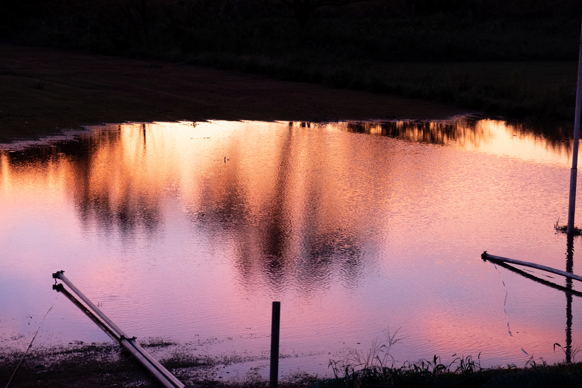 f:id:yokumury:20190909181748j:plain f:id:yokumury:20190909181748j:plain