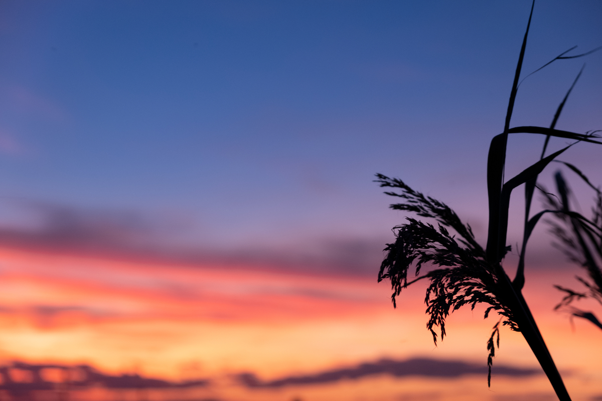 f:id:yokumury:20190909182328j:plain f:id:yokumury:20190909182328j:plain