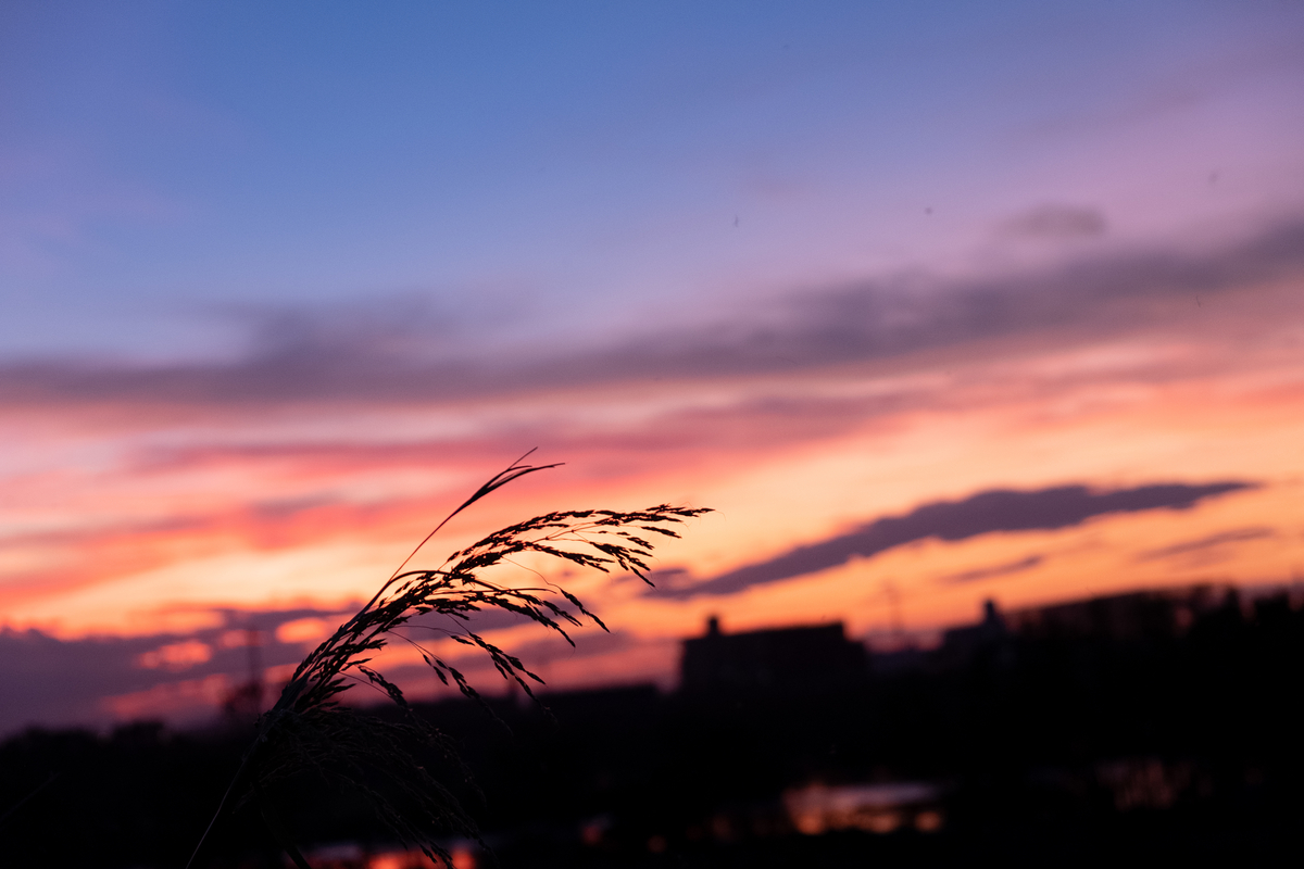 f:id:yokumury:20190909182455j:plain f:id:yokumury:20190909182455j:plain