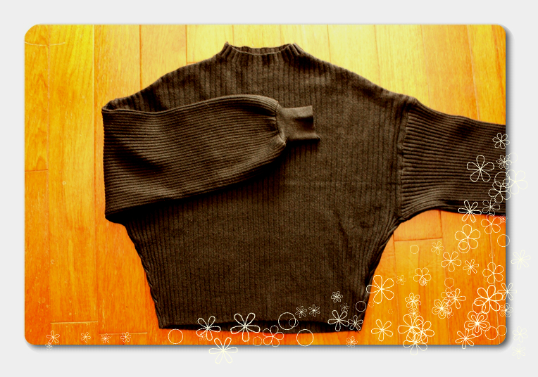 f:id:yokunelco:20161213114103j:plain