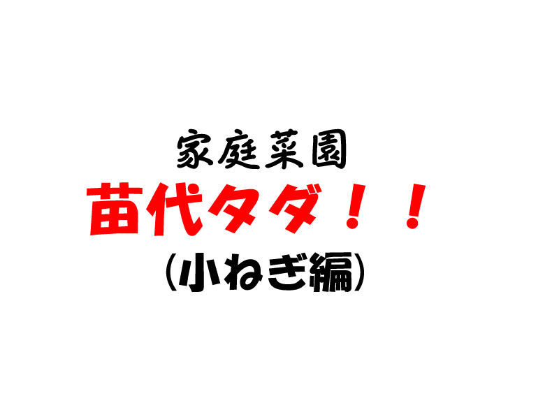 f:id:yokunelco:20190614104844j:plain