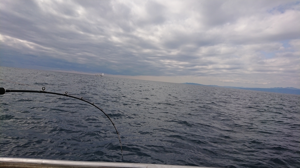 f:id:yokunonda:20190211220054j:plain:w600 f:id:yokunonda:20190211220054j:plain:w600