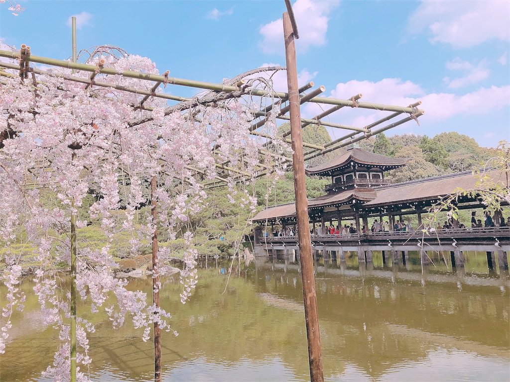 f:id:yokusen:20180408162951j:image f:id:yokusen:20180408162951j:image