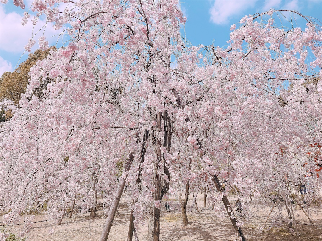 f:id:yokusen:20180408163020j:image f:id:yokusen:20180408163020j:image