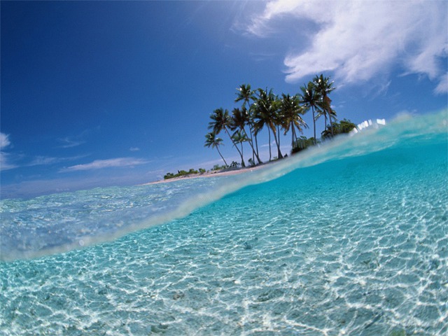 f:id:yolatengo8888:20111203123855j:image:w360