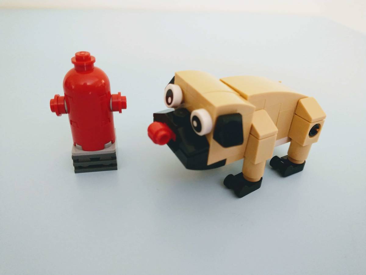 レゴ Lego パグ コアラ 七面鳥 よう先生の日々