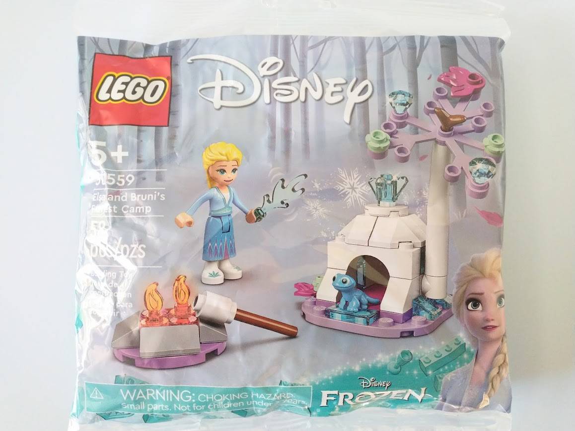 エルサのポリバグセット第2弾！LEGO®︎30559、サラマンダーのパーツ