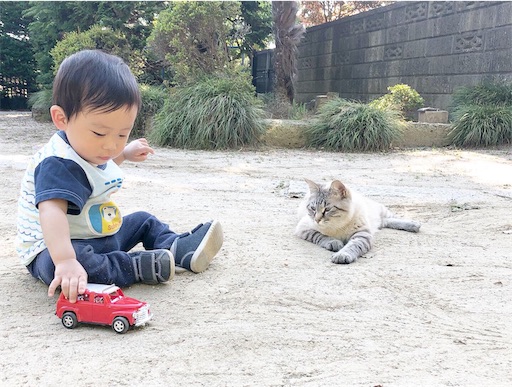 f:id:yolocobi:20190527090914j:image f:id:yolocobi:20190527090914j:image