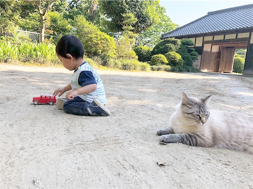 f:id:yolocobi:20190527091219j:image f:id:yolocobi:20190527091219j:image