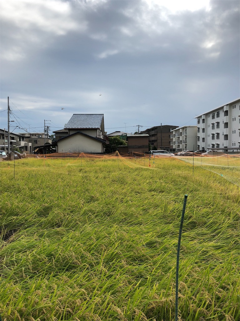 f:id:yomechang:20190918091552j:image f:id:yomechang:20190918091552j:image