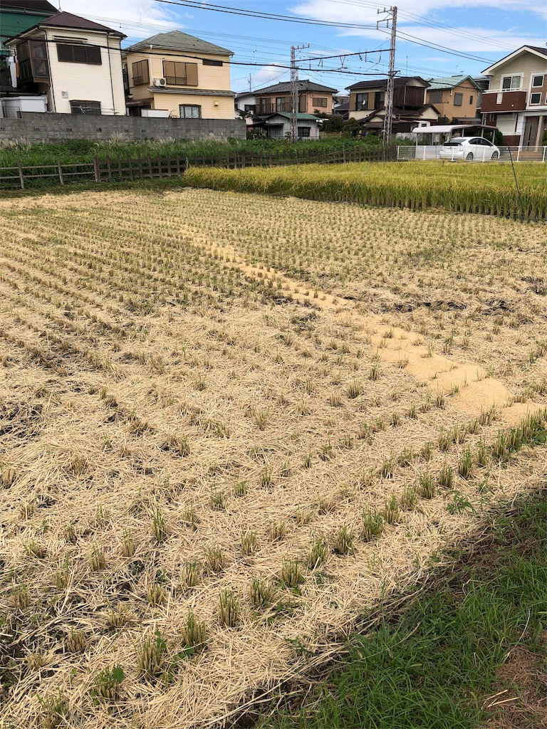 f:id:yomechang:20190924094543j:image f:id:yomechang:20190924094543j:image