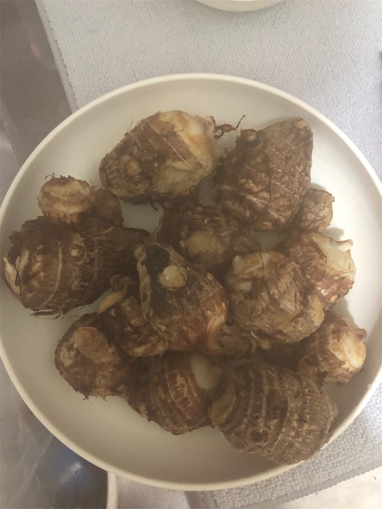 f:id:yomechang:20190924101150j:image f:id:yomechang:20190924101150j:image