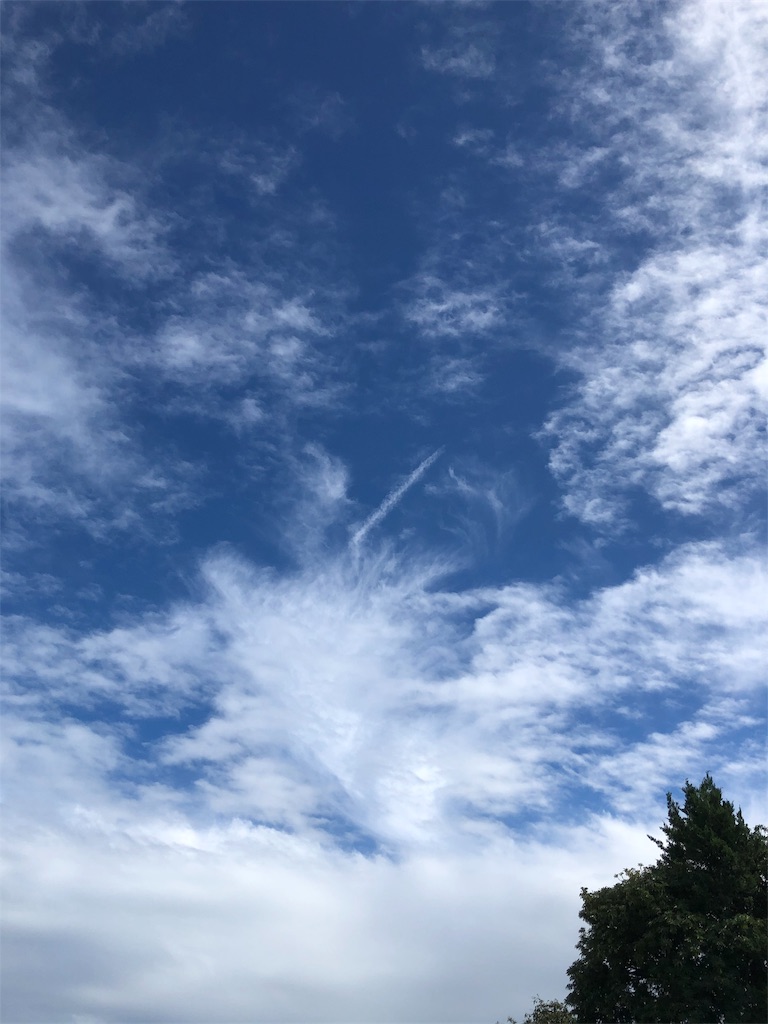 f:id:yomechang:20191022165705j:image f:id:yomechang:20191022165705j:image