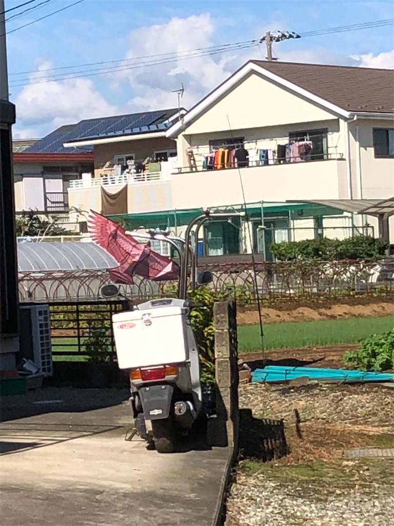 f:id:yomechang:20191030131109j:image f:id:yomechang:20191030131109j:image