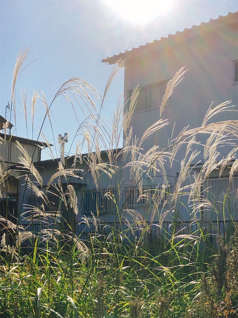 f:id:yomechang:20191104100322j:image f:id:yomechang:20191104100322j:image