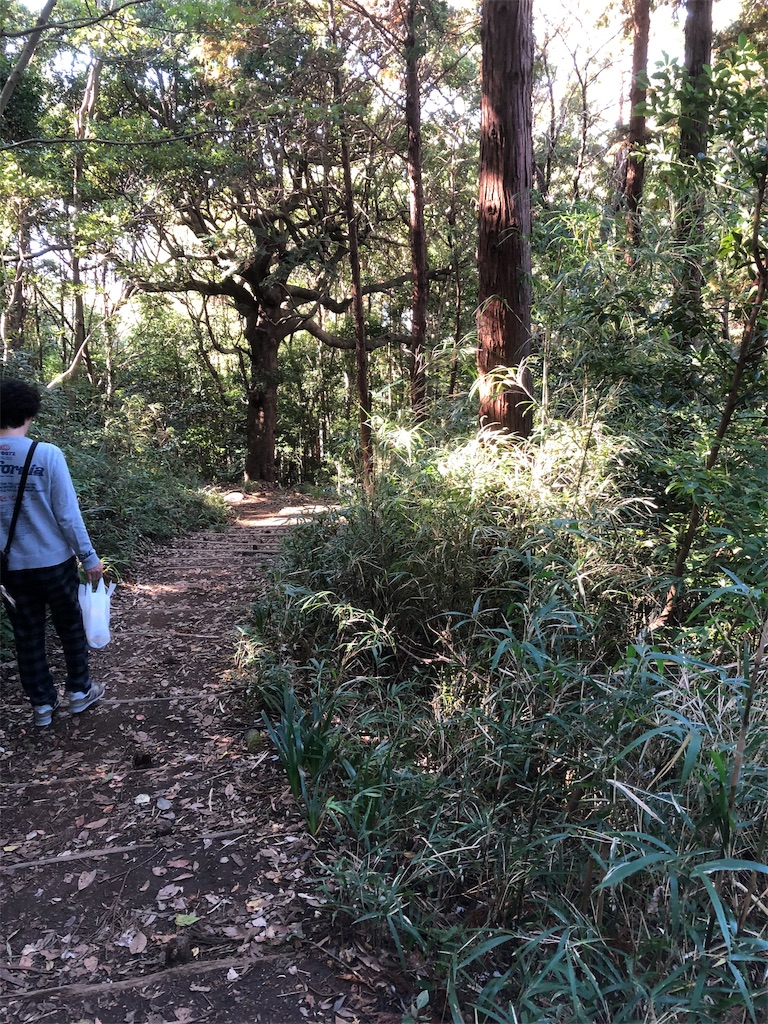 f:id:yomechang:20191116195717j:image f:id:yomechang:20191116195717j:image