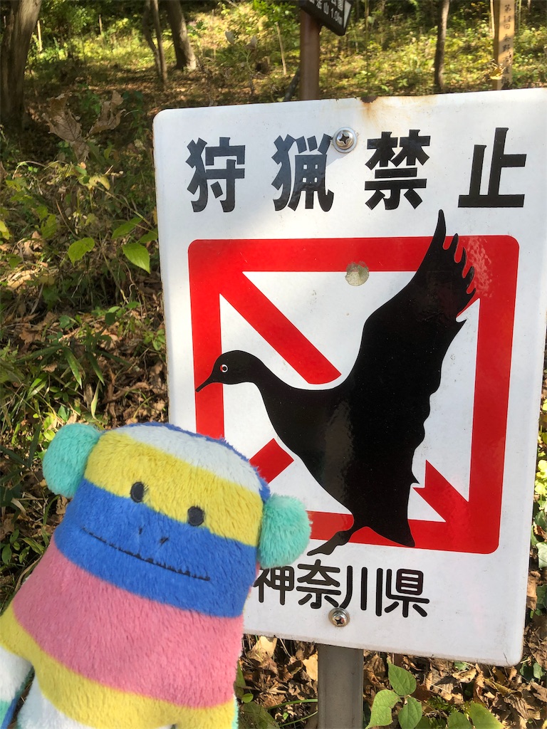 f:id:yomechang:20191116203229j:image f:id:yomechang:20191116203229j:image