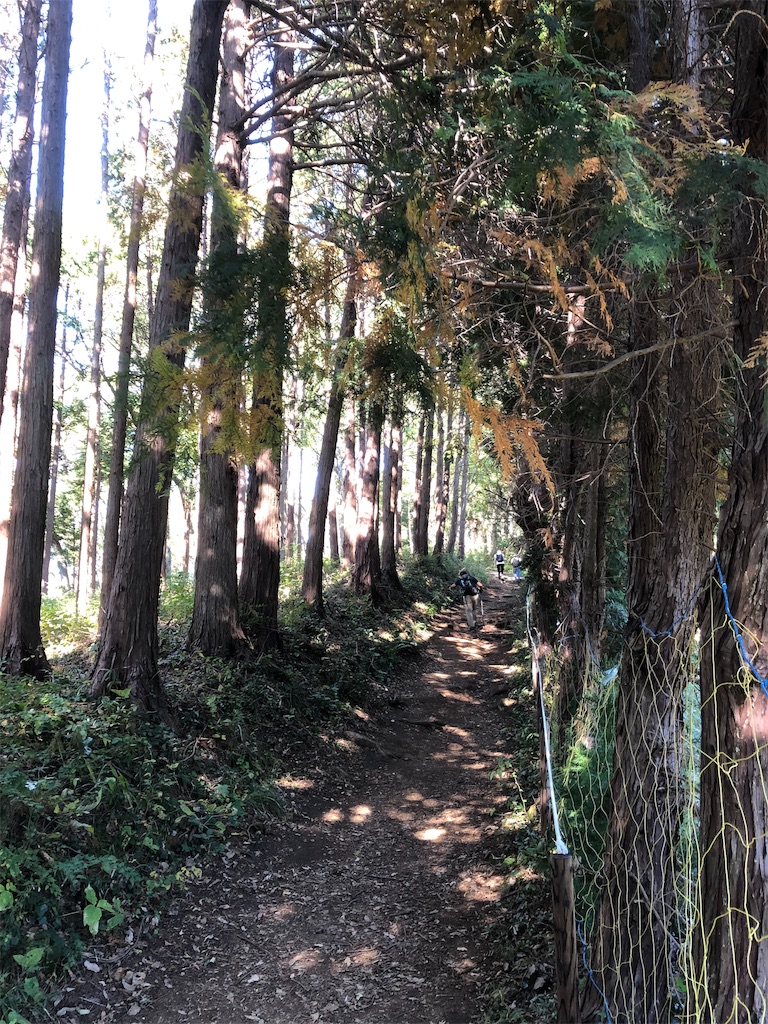 f:id:yomechang:20191116204219j:image f:id:yomechang:20191116204219j:image