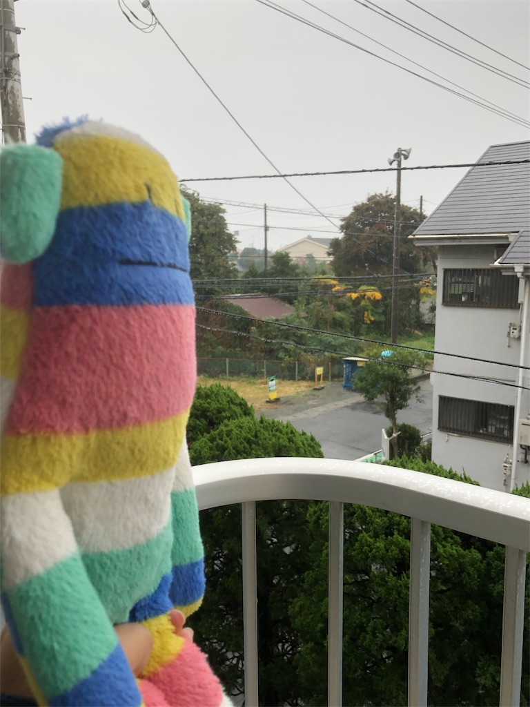 f:id:yomechang:20191122081110j:image f:id:yomechang:20191122081110j:image