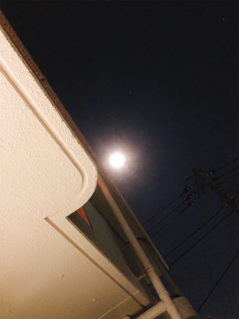 f:id:yomechang:20191213081819j:image