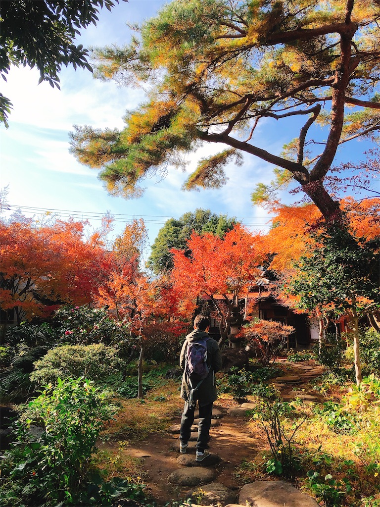 f:id:yomechang:20191215171224j:image f:id:yomechang:20191215171224j:image