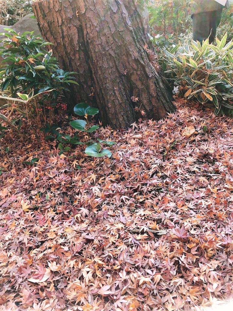 f:id:yomechang:20191215171344j:image f:id:yomechang:20191215171344j:image